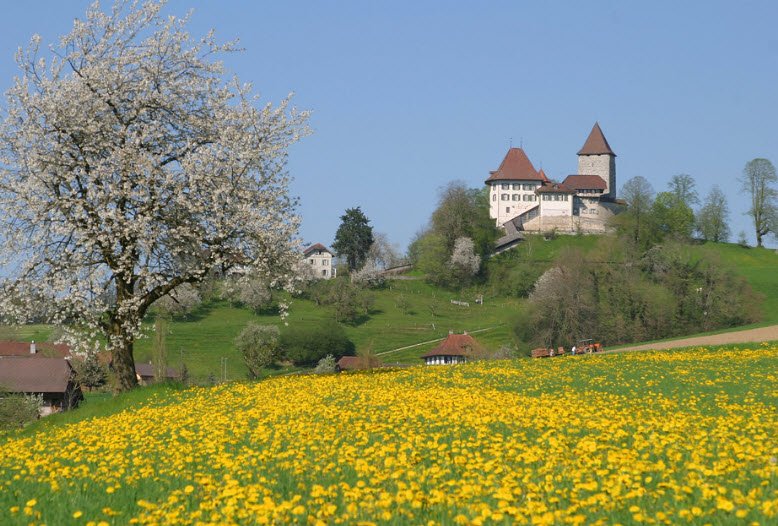 Trachselwald Castle, Trachselwald, Switzerland, Switzerland